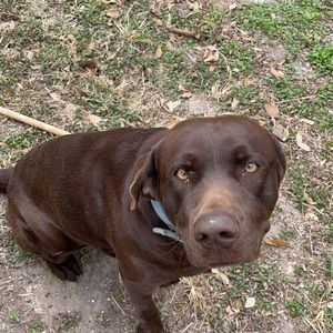 Meet your Posher, Max